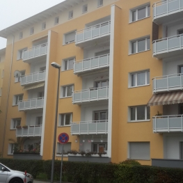 wdvs_11
